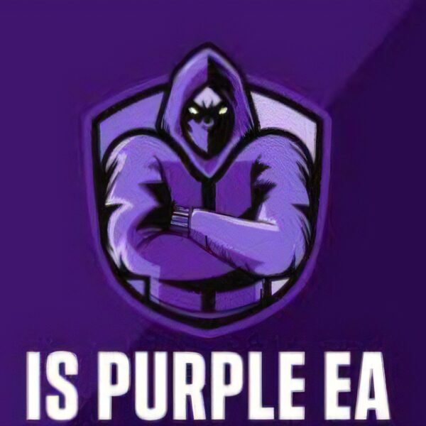 IS Purple EA V1.1 MT4 + Seat file No DLL